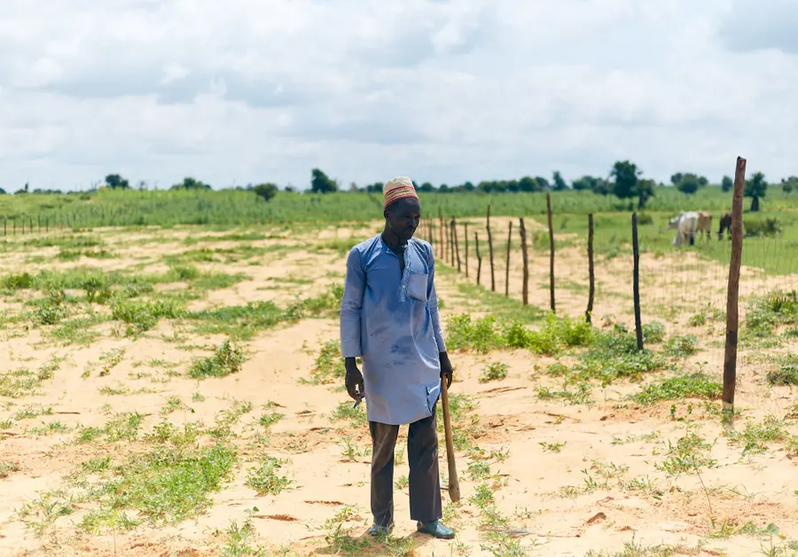 Illustration — agriculteur dans un champ rural ouest-africain