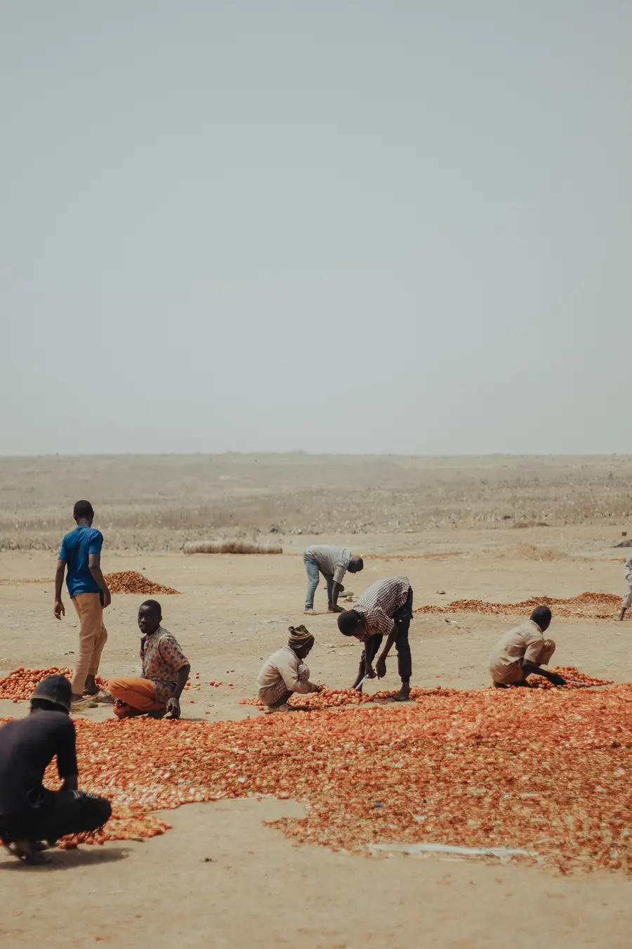 Illustration — groupe d'agriculteurs travaillant ensemble en plein air