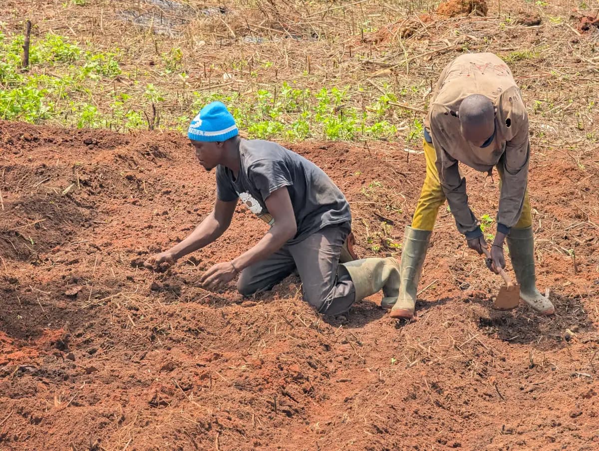 Illustration — deux agriculteurs travaillant ensemble la terre